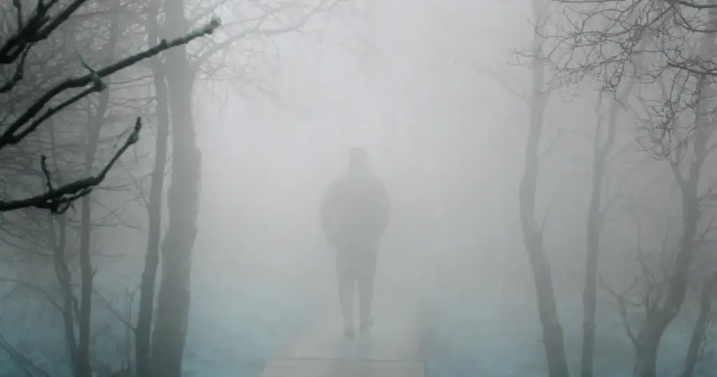 Person im Nebel im Wald – Sinnbild für Missverständnisse rund um die Mondautorität beim Reflektor im Human Design